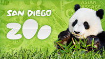 Featured: San Diego Zoo